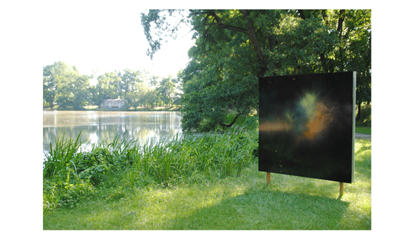 Landart installation 